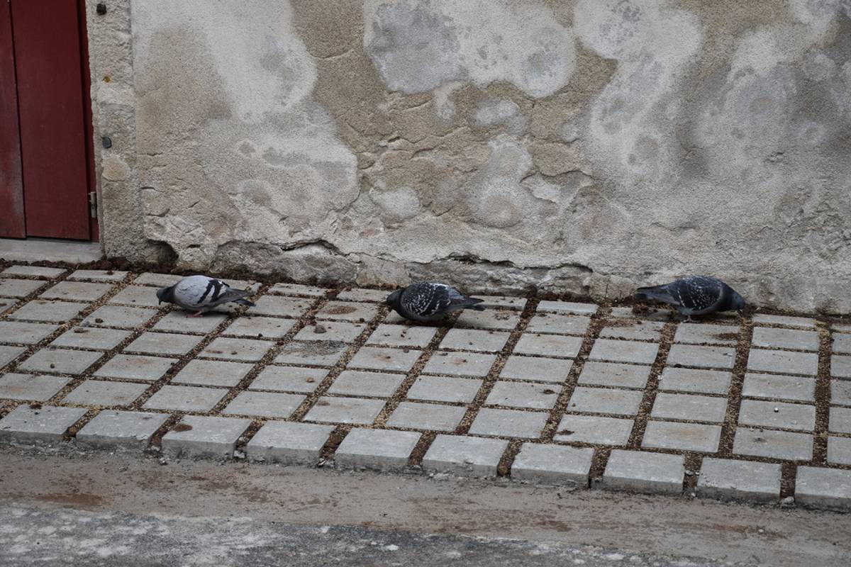 , Cette crèche du Puy-en-Velay va avoir droit à une nouvelle cour