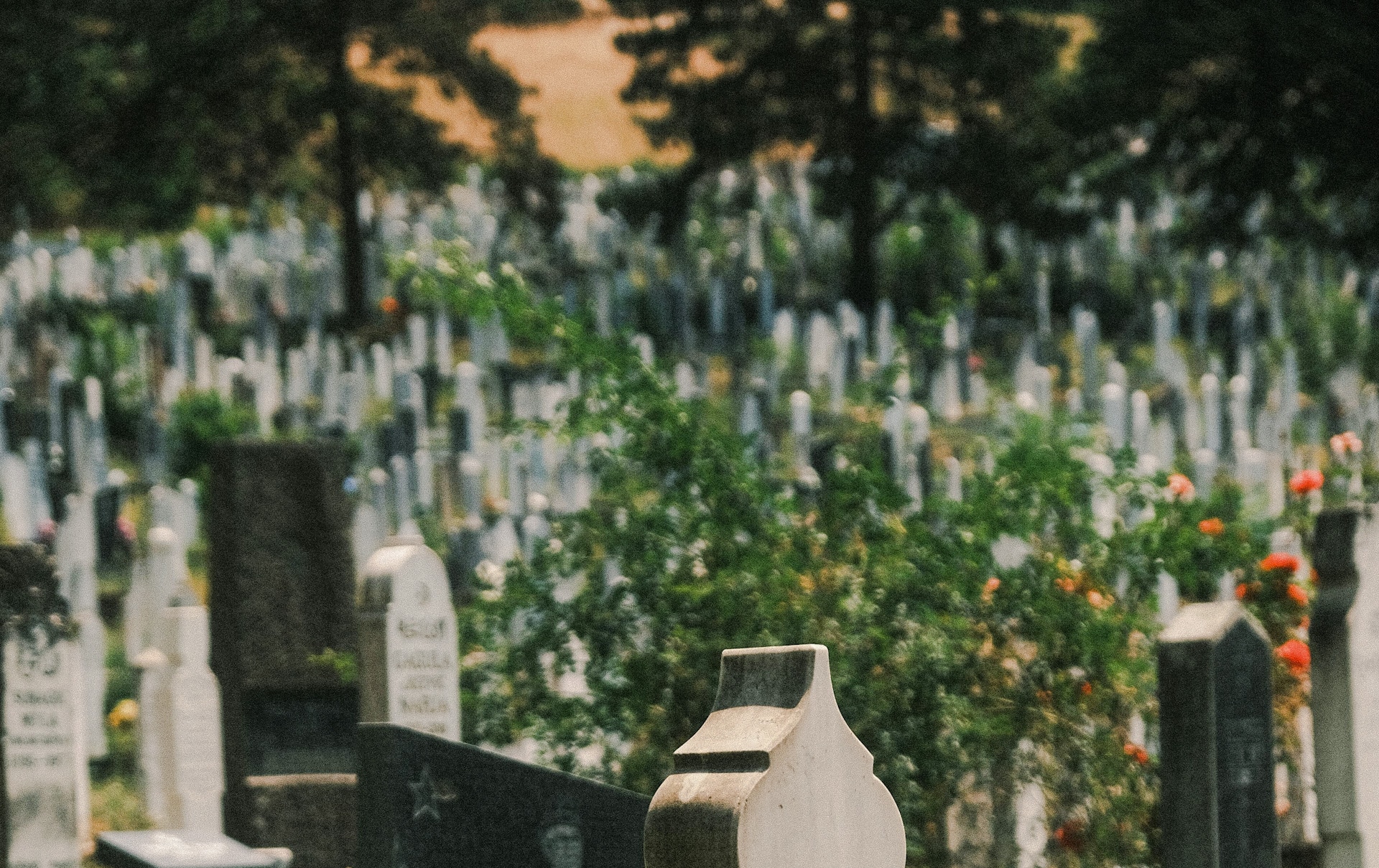 , Dégradations dans le carré musulman du cimetière du Puy-en-Velay